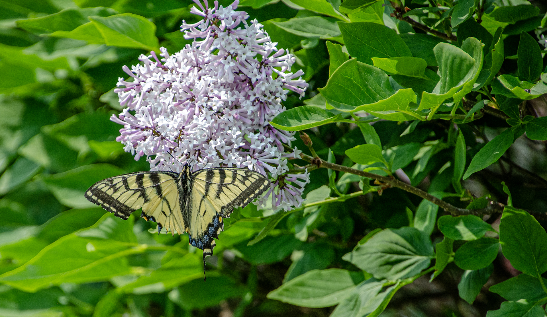 Meeting Photo Slide Show